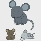 十二生肖时辰读法解析：对照表与口诀速查