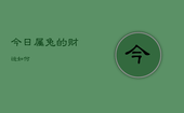 今日属兔的财运如何