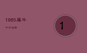 1985属牛今日运势，1985生肖牛今日运势如何