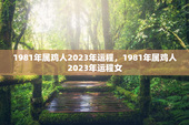 1981年属鸡人2023年运程，1981年属鸡人2023年运程女