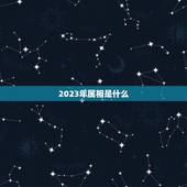 2023年属相是啥年(猪年过后你猜下一年是什么)