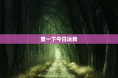 查一下今日运势，查一查今日运势