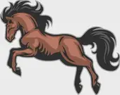 属马人今日财运解析：三招抓住财富跳板