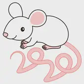 12生肖对应时辰表全解析：精准查询时辰对照