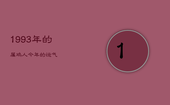1993年的属鸡人今年的运气，1993年的属鸡人今年的运气如何