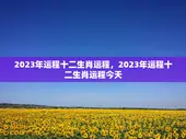 2023年运程十二生肖运程，2023年运程十二生肖运程今天