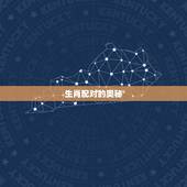 生肖鸡和兔相配吗好吗(介绍生肖配对的奥秘)