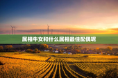 属相牛女和什么属相最佳配偶呢，属相牛女和什么配对