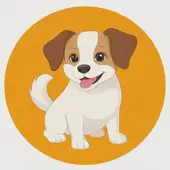 属狗跟什么属相最配做生意合财：属狗的和什么属相合伙做生意最合适