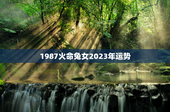 1987火命兔女2023年运势，1987的兔一生婚姻状况