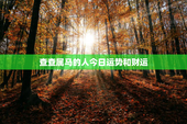 查查属马的人今日运势和财运，属马人今日运势非常运势网