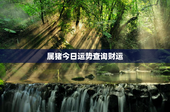 属猪今日运势查询财运，属猪人今曰运势查询