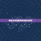 属猴女命和属狗男命配对如何(分析属猴女命和属狗男命的婚姻关系)