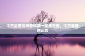 今日星座运势查询第一星座巨蟹，今日星座的运势