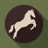 麦玲玲2025生肖运势全解析：吉凶方位与转运指南