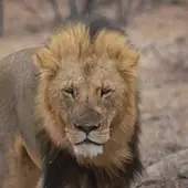 今日星座运势排行榜最新！附3招开运技巧