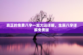 真正的免费八字一生大运详解，生辰八字详解免费版