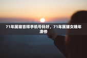 71年属猪吉祥手机号码好，71年属猪女晚年凄惨