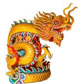 88年属龙的哪年起大运最好（88年龙人最佳行大运年份）