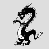 2024属龙人士运势大揭秘