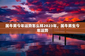 属牛男今年运势怎么样2023年，属牛男生今年运势