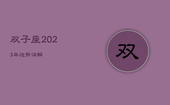 双子座2023年运势详解，双子座2023年运势详解女