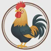 鸡的生肖与什么生肖最合适的，鸡配什么属相最好