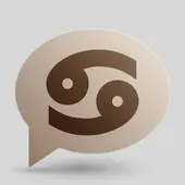 属鸡人今日运势全解：2025年2月2日运势指南！附避坑清单