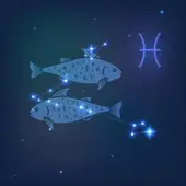 什么动物没有心脏？揭秘7种无心脏生物存活之谜