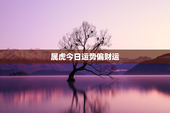 属虎今日运势偏财运，属虎今日运势偏财运如何