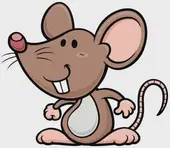 十二生肖今日财运解析：避开破财雷区必看