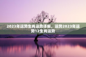 2023年运势生肖运势详解，运势2023年运势12生肖运势