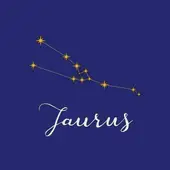 金牛座2025整体指南：锁定今日财富、健康精准解析