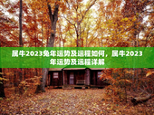 属牛2023兔年运势及运程如何，属牛2023年运势及运程详解
