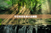 今日特吉生肖小运播报，今日特吉生肖小运播报7月20日