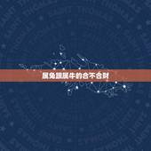 属兔跟属牛的合不合财(星座配对与财运分析)