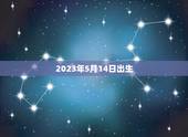 2023年5月14日出生(未来宝宝的出生日期)