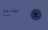 生辰八字算2023年运势，生辰八字算2023年运势自己算