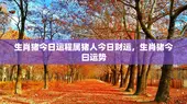 生肖猪今日运程属猪人今日财运，生肖猪今曰运势