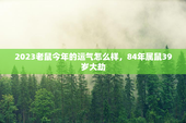 2023老鼠今年的运气怎么样，84年属鼠39岁大劫