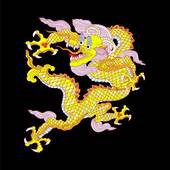 属龙24本命年幸运色（龙24本命年幸运色彩）