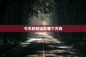 今天的财运在哪个方向