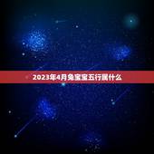2023年4月兔宝宝五行属什么(十二生肖中兔子的性格特点)