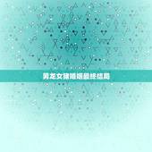 男龙女猪婚姻最终结局(十二生肖配对的神秘之谜)