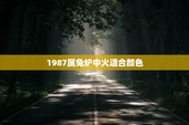 1987属兔炉中火适合颜色，2023年属兔三大喜事