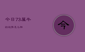 今日73属牛的运势怎么样