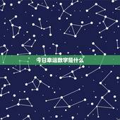 今日幸运数字是那几个(介绍今日数字助你走向好运)