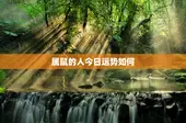 属鼠的人今日运势如何，属鼠今日运势查询结果