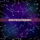 守护月亮的星星叫什么(月光守护者的神秘身份揭晓)