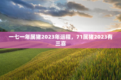 一七一年属猪2023年运程，71属猪2023有三喜